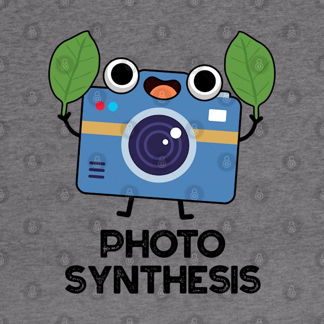 Photo Syntesis Cute Camera Pun by punnybone